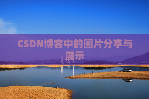 CSDN博客中的图片分享与展示